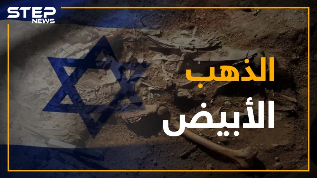 من العام 1982.. ما هو الكنز الذي يبحث عنه النظام في باطن الأرض؟