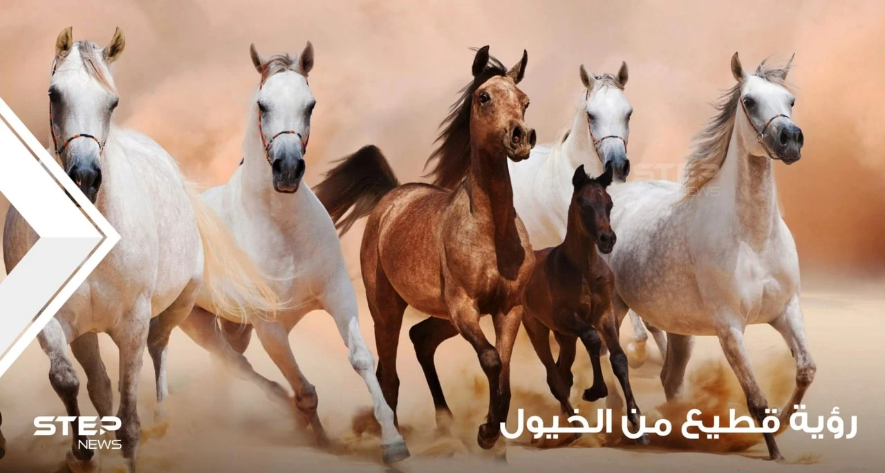 رؤية قطيع الخيول في المنام ودلالة ألوانها وأماكنها عند المعبرين