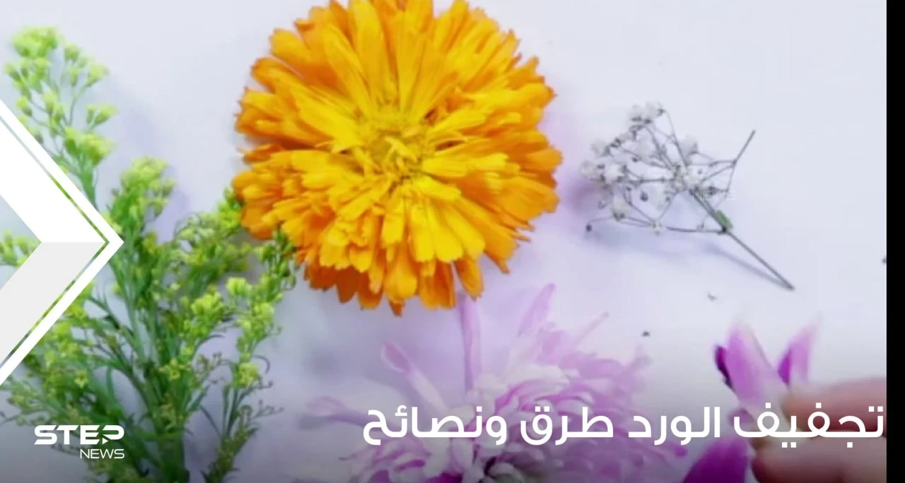 تجفيف الورد طرق ونصائح وبعض الفوائد
