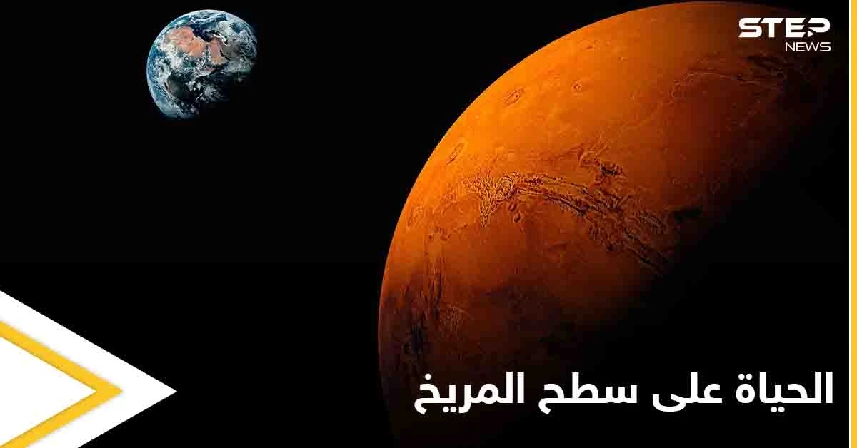 دليل على وجود الحياة في المريخ.. عالم أمريكي ينشر صورة تثير الجدل بشكل كبير