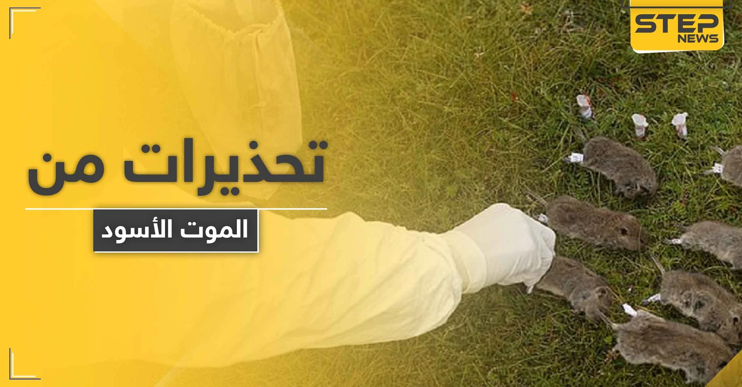 طاعون دبلي.. الصين تطلق تحذيراً من المستوى 3 حول جائحة جديدة قد تجتاج العالم