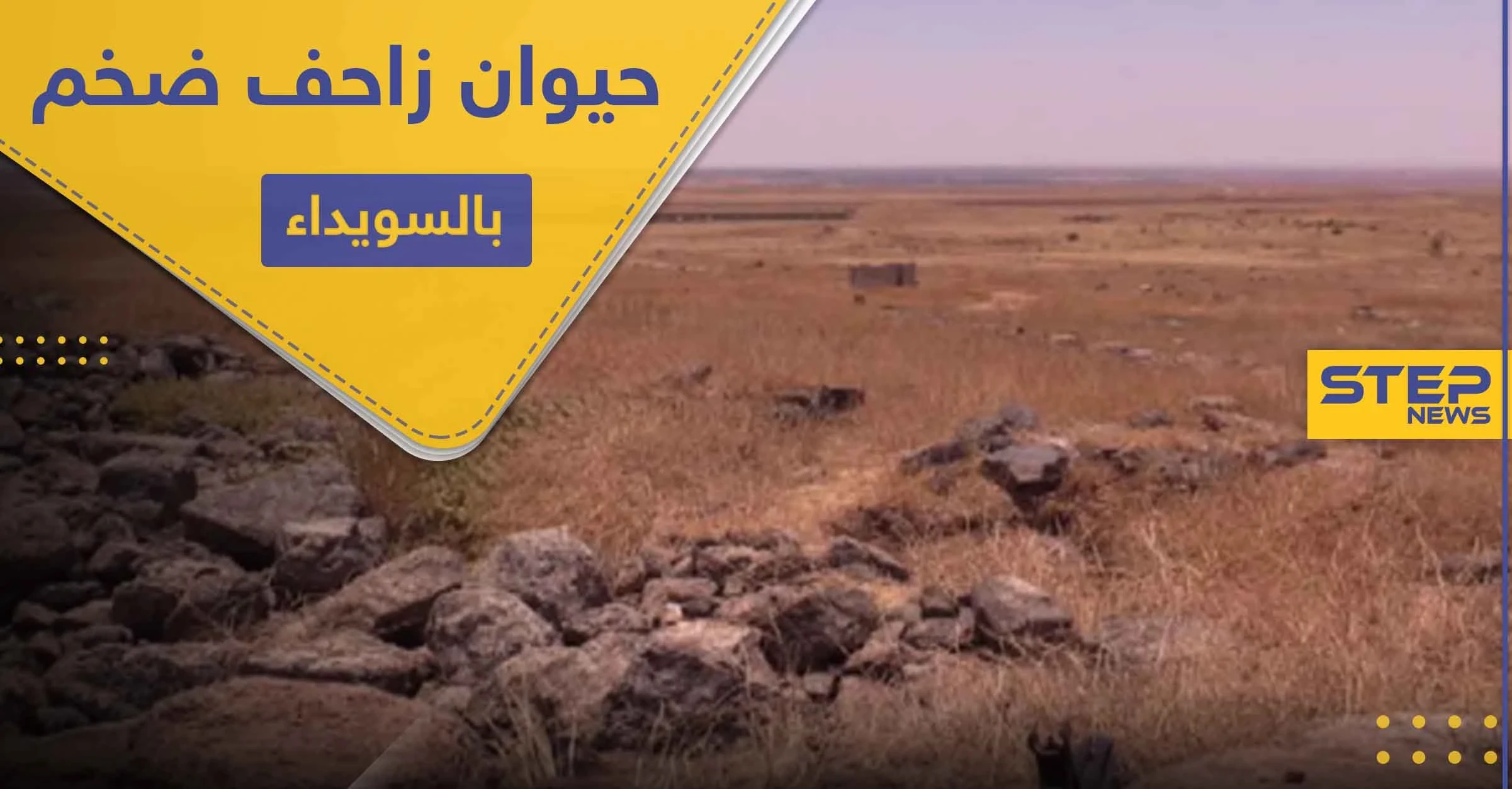بالصور ظهور حيوان زاحف ضخم في بادية السويداء لأول مرة
