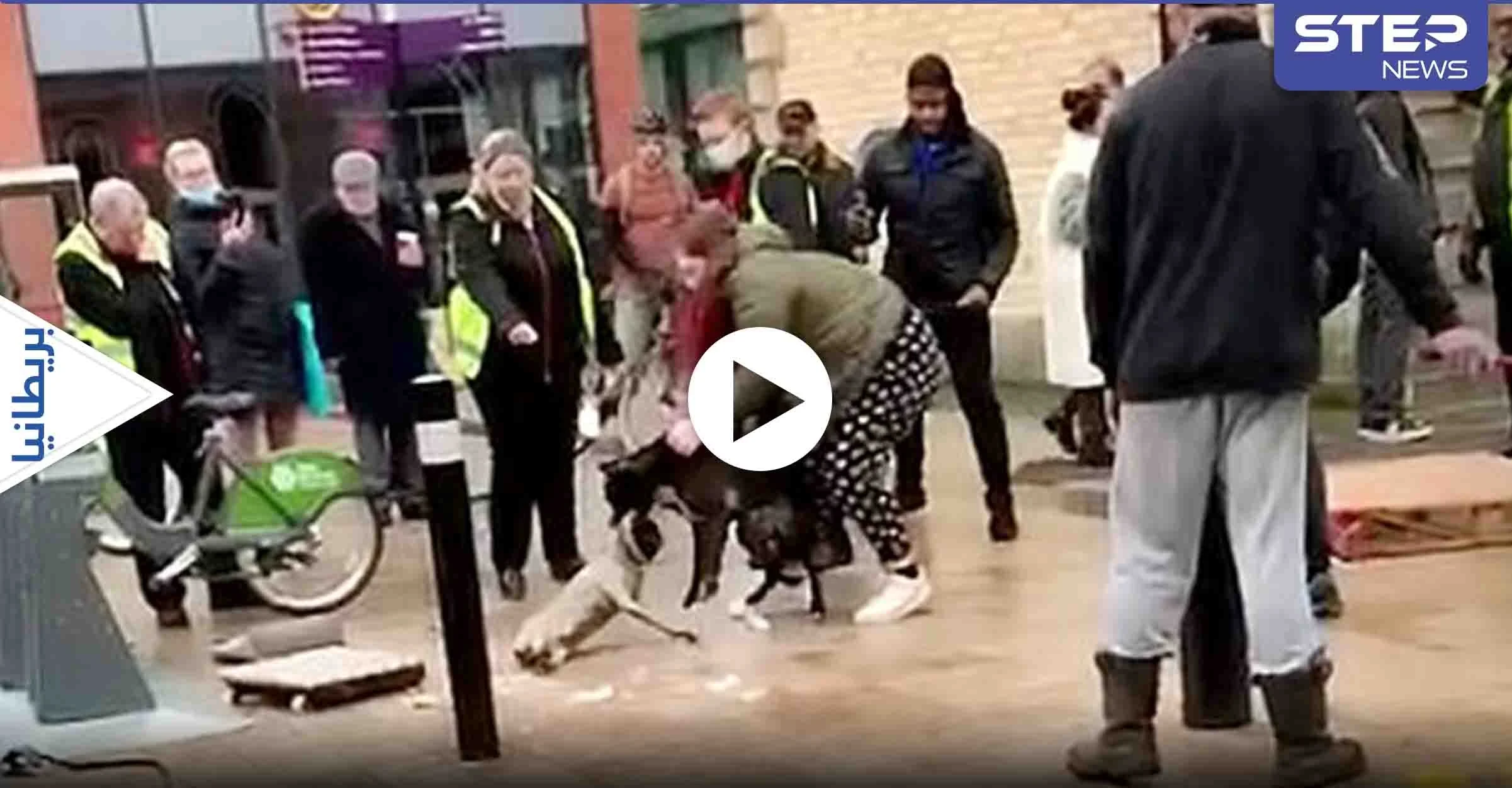 شاهد بالفيديو|| مزقه وكأنه خرقة.. كلب شرس يهاجم آخر لمدة عشرين دقيقة في شارع مزدحم رغم محاولات المارة بفك الاشتباك بينهما