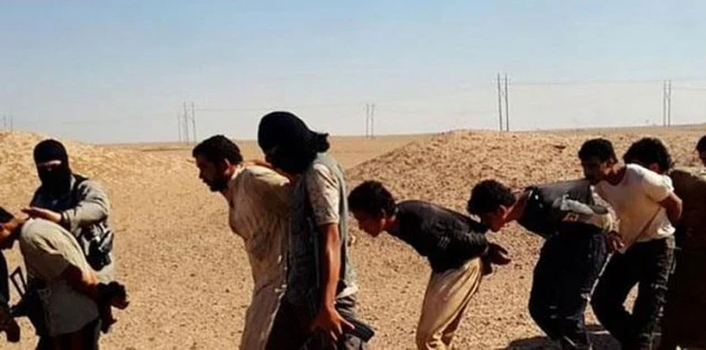 موسم الكمأة يُثير رغبة عناصر داعش باعتقال المزيد من الشبيحة والمدنيين