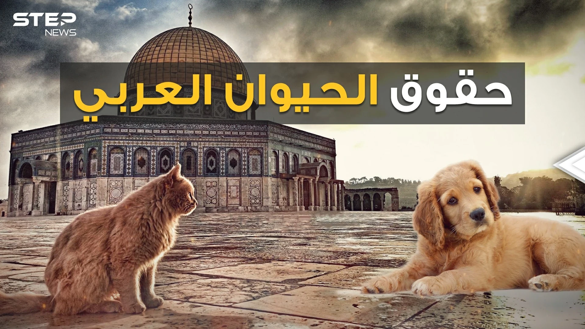 كلاب وحيوانات بملايين الدولارات، وحملات عربية لوقف قتلها.. من أولى البشر أم الحيوان!