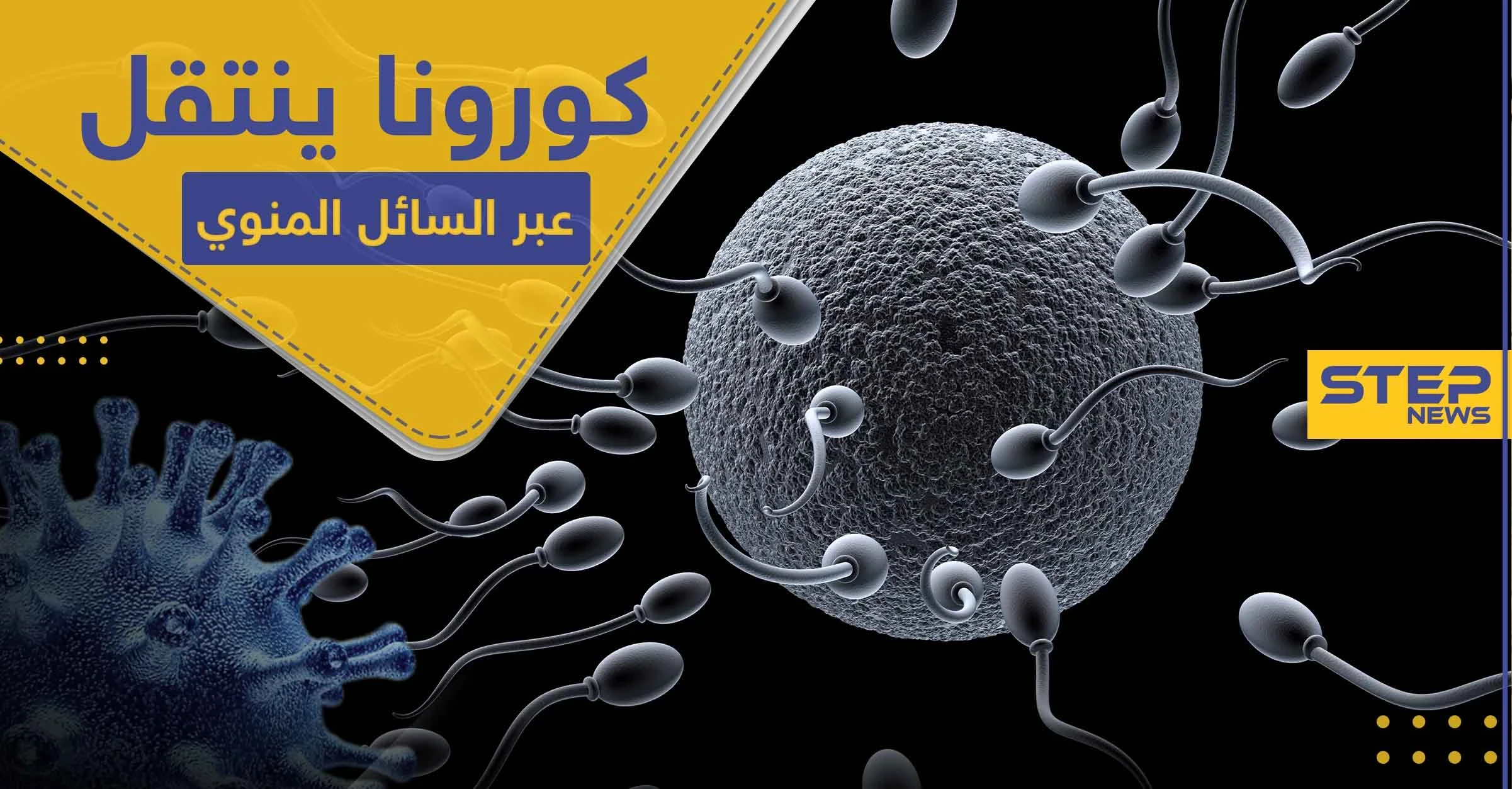 دراسات حديثة تشير إلى إمكانية انتقال كورونا عبر العلاقة الزوجية