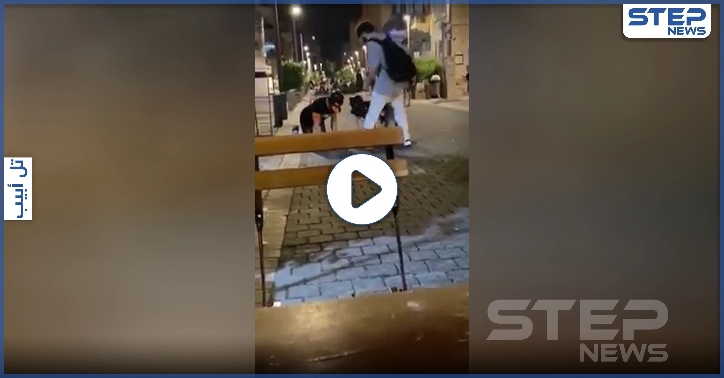 بالفيديو|| بمشهد غير مألوف.. ظهور كلاب بشرية وسط الشوارع الإسرائيلية وشخص يجرهم