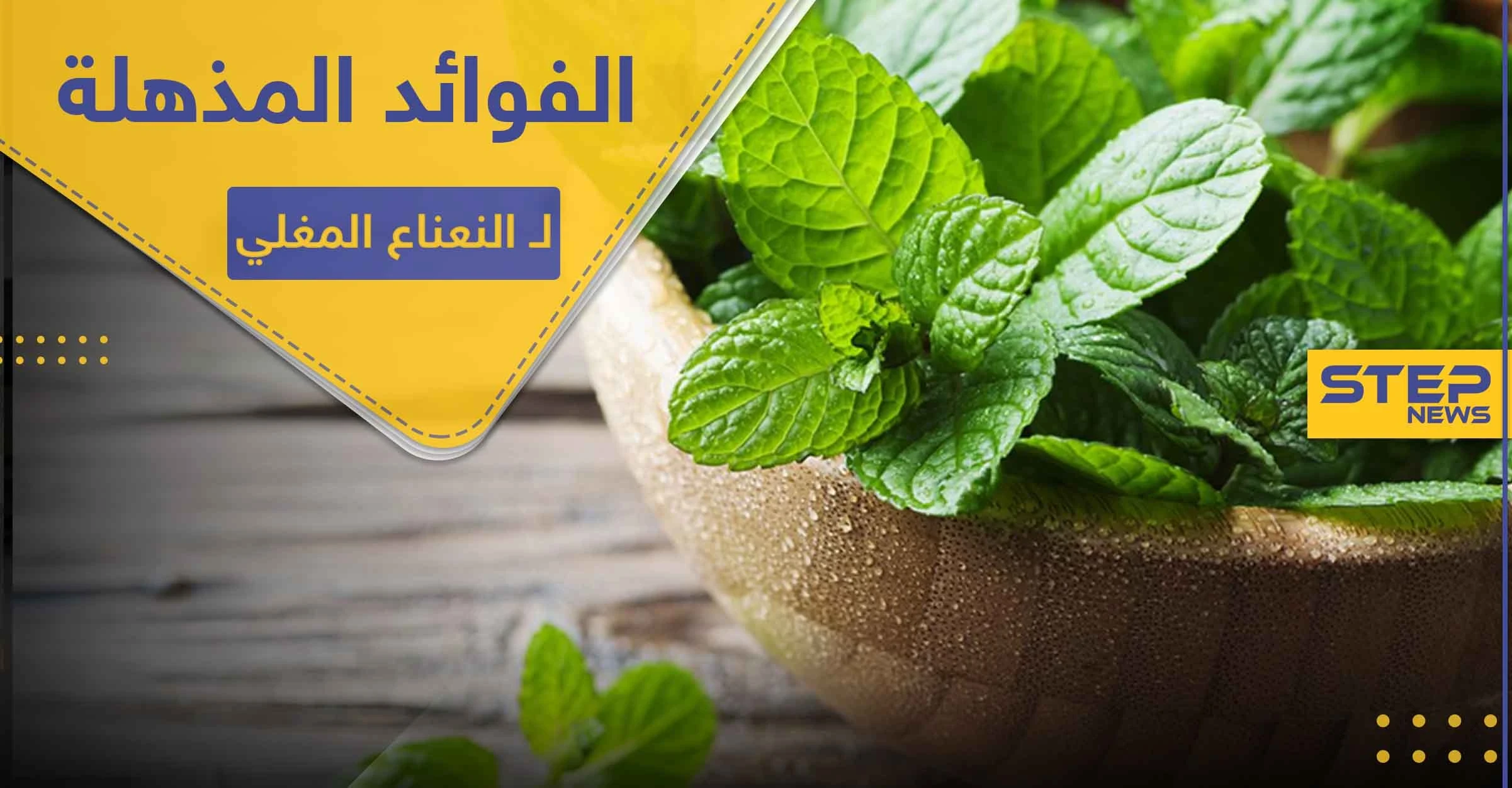 إنقاص الوزن وتعزيز جهاز المناعة.. تعرف على فوائد النعناع المغلي المذهلة