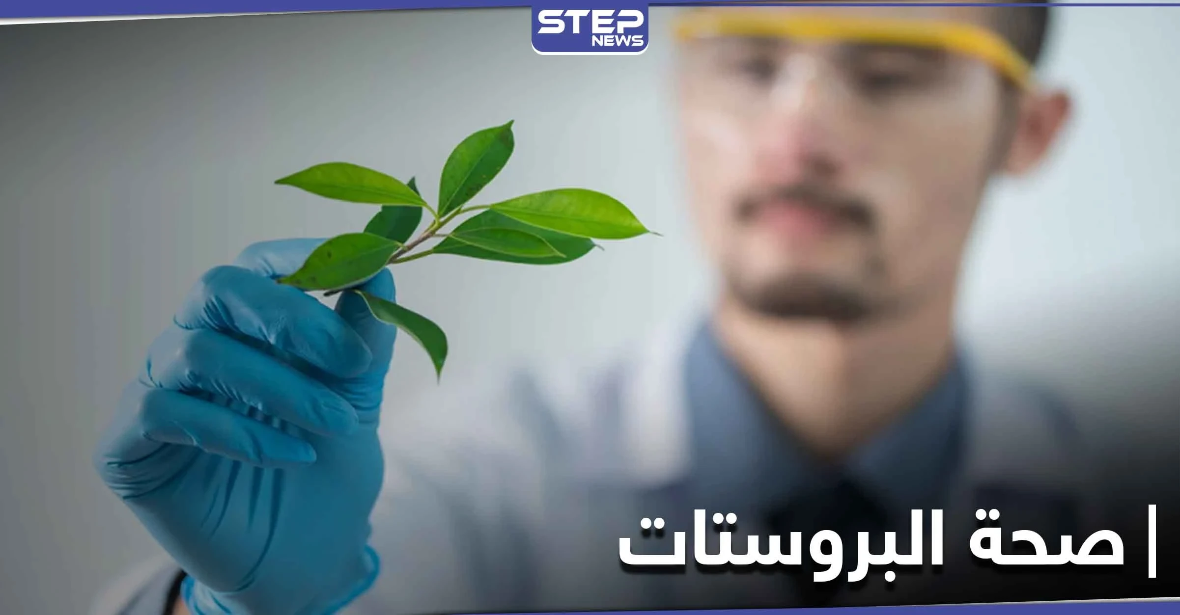 للحفاظ على صحة البروستات وتعزيز الرغبة الجنسية والخصوبة.. إليك هذا المستخلص النباتي
