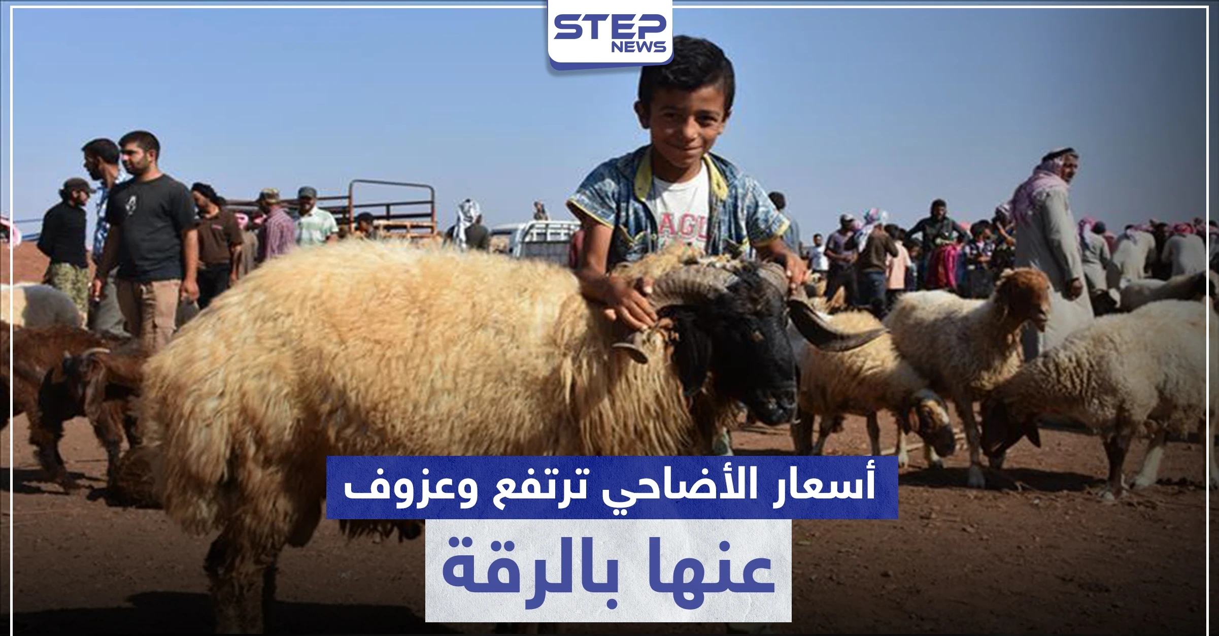 عيد الأضحى بلا أضاحي في الرقة هذا العام وتجّار الماشية يوضحون الأسباب