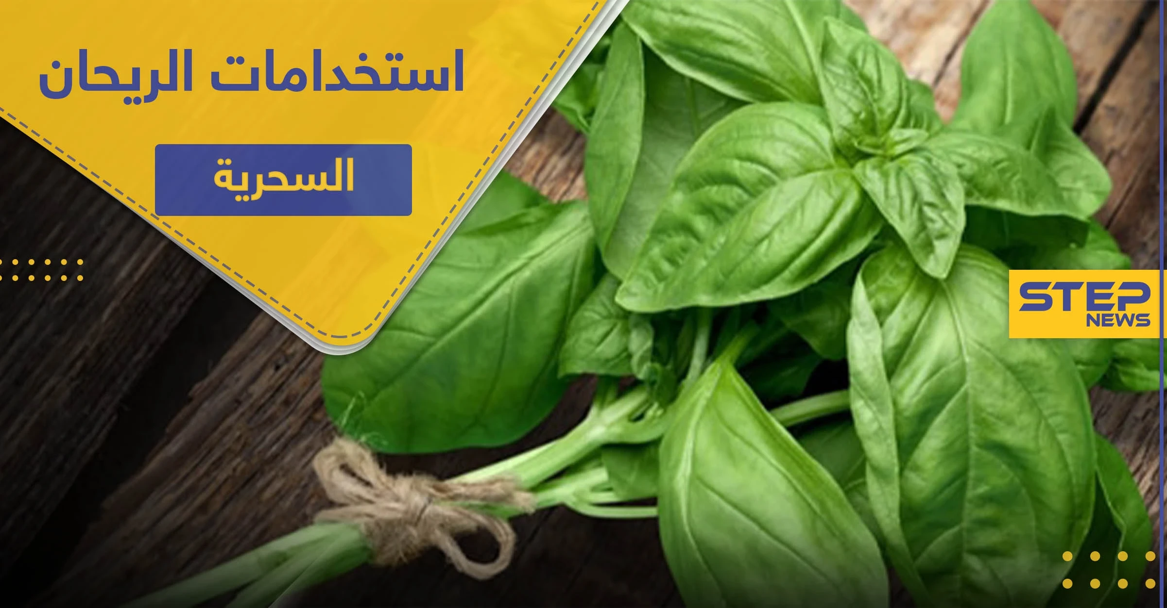 5 استخدامات سحرية لـ الريحان لتحافظ على صحتك