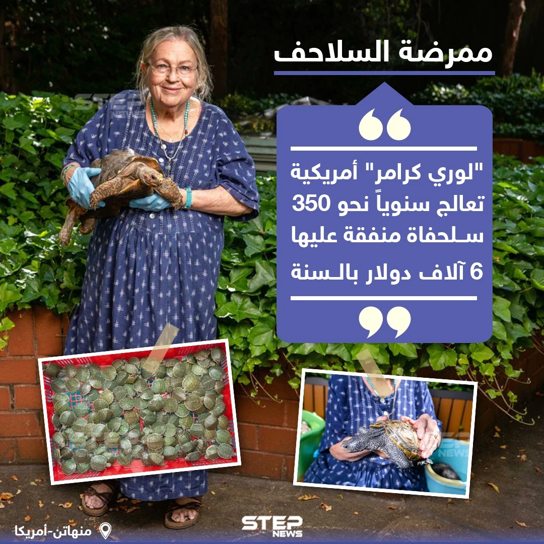 سبعينية تعالج السلاحف بمنزلها