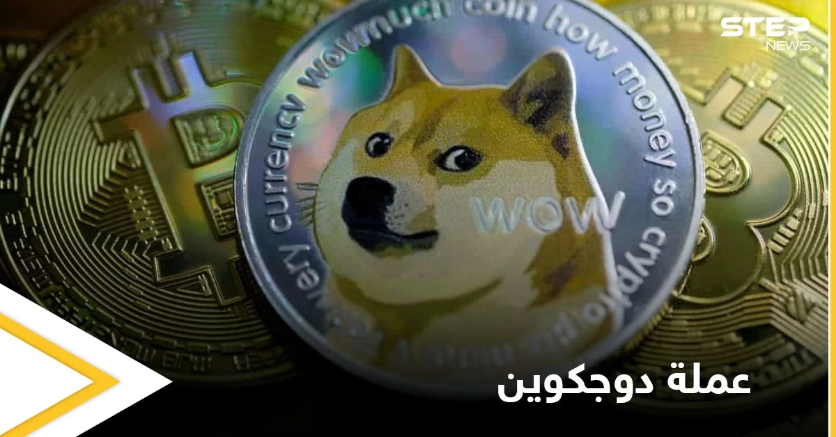 نشأت بهدف السخرية وصعدت لتحتل مرتبة عالمية.. تعرف إلى عملة دوجكوين وسبب صعودها المفاجئ