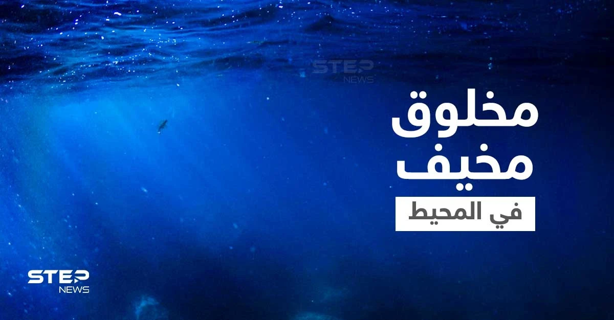 مخلوق غريب بفك مزدوج وجزء من القرش وآخر كالأفعى يظهر في المحيط الهادئ ويثير الرعب (صورة)