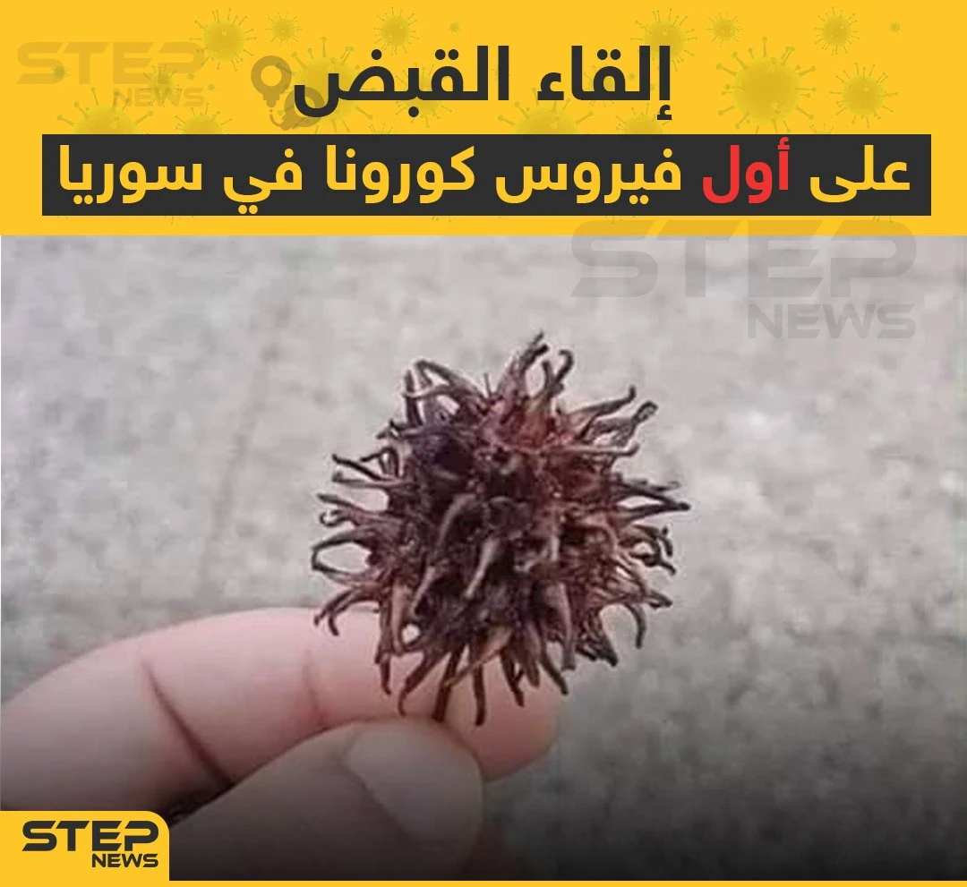 فيروس كورونا في سوريا