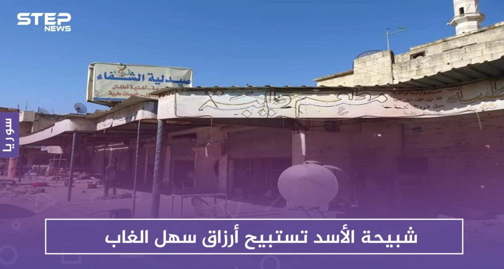 شبيحة الأسد تستبيح الممتلكات في سهل الغاب .. قلعة المضيق مثالًا