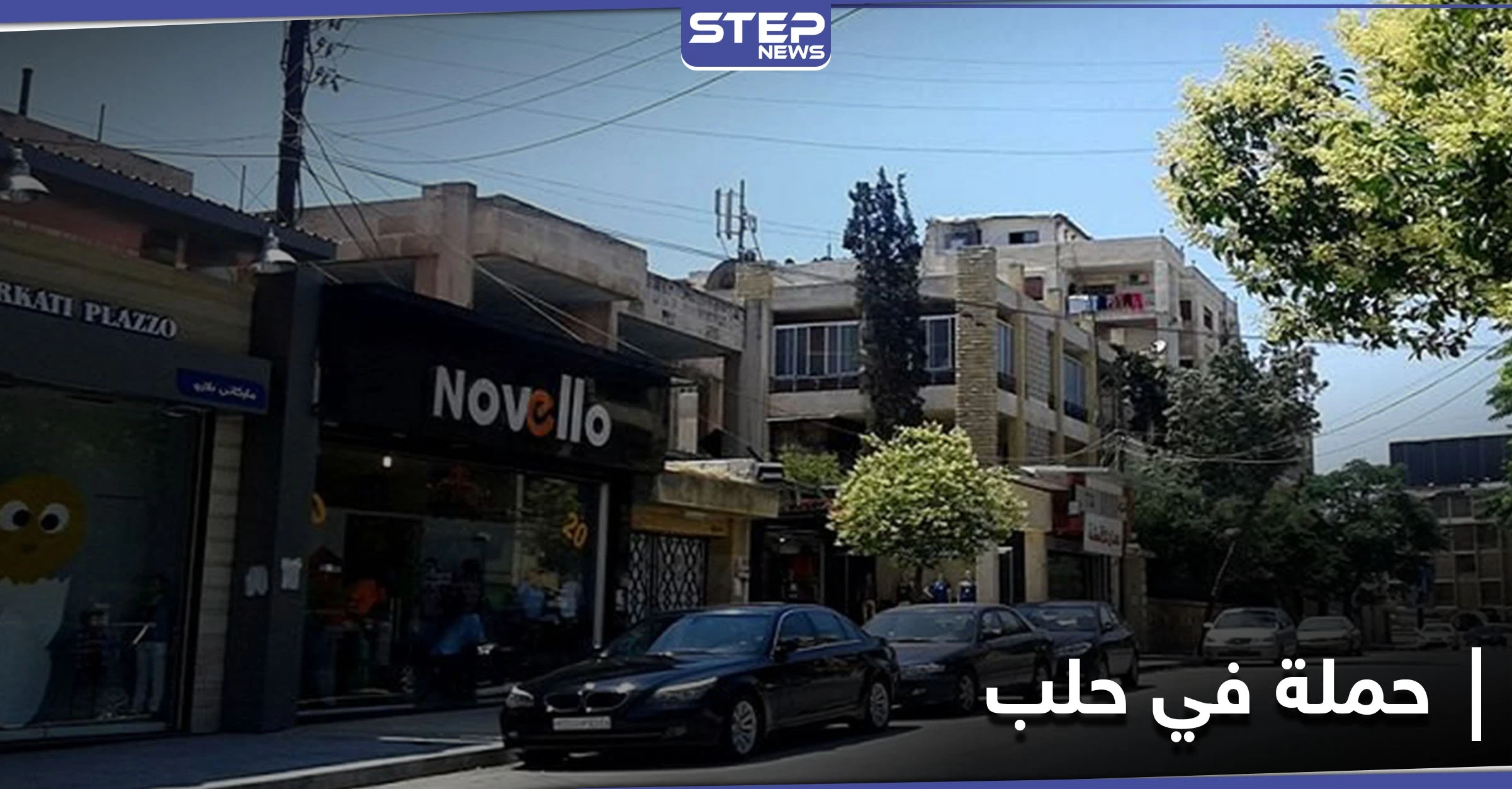 "من الآخر بدنا مصاري".. عناصر الجمارك التابعة للنظام السوري تطلق حملة في مدينة حلب