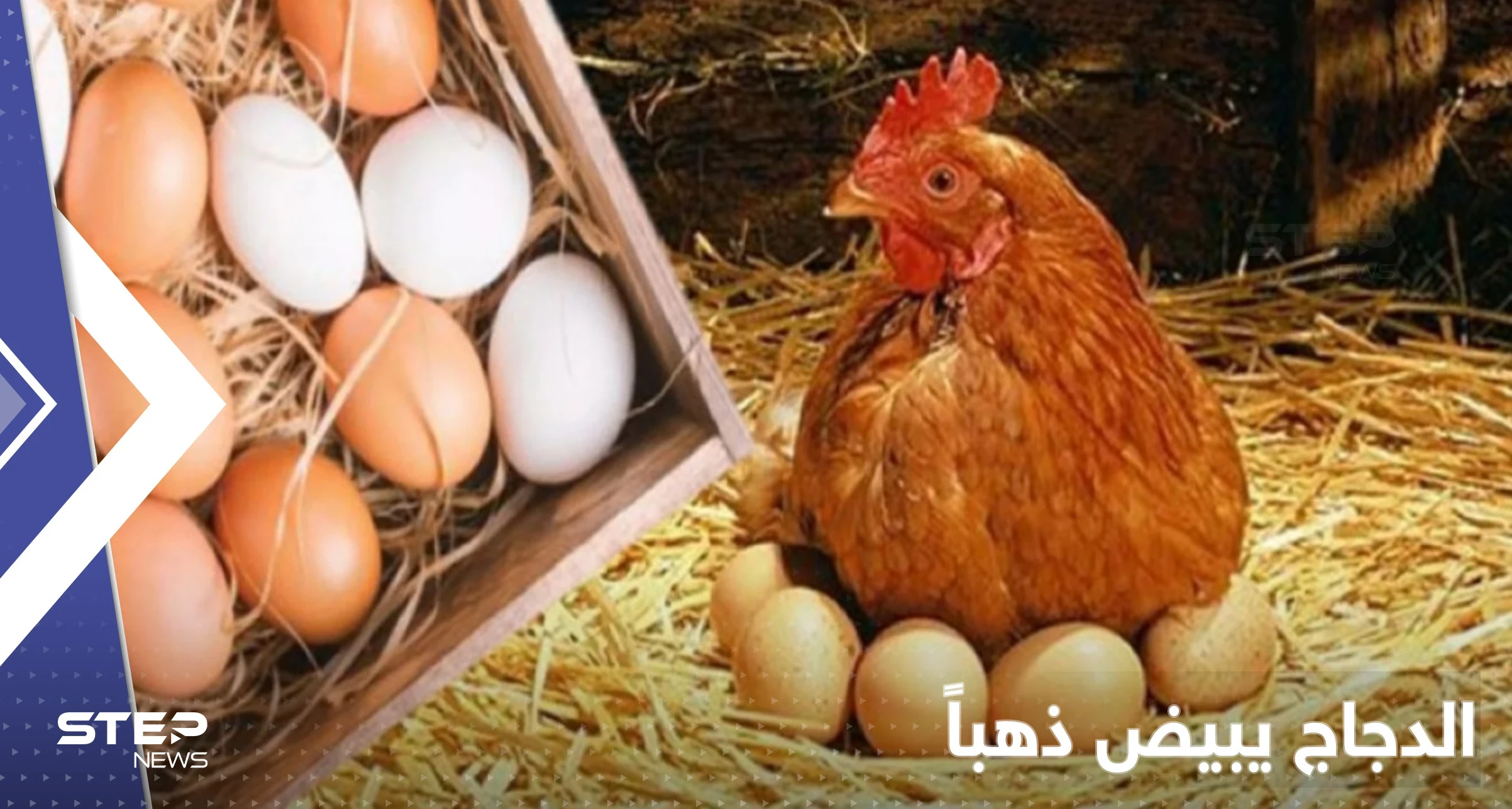 أسعار البيض في العالم ترتفع بشكل تاريخي ودول تدق ناقوس "الخطر"