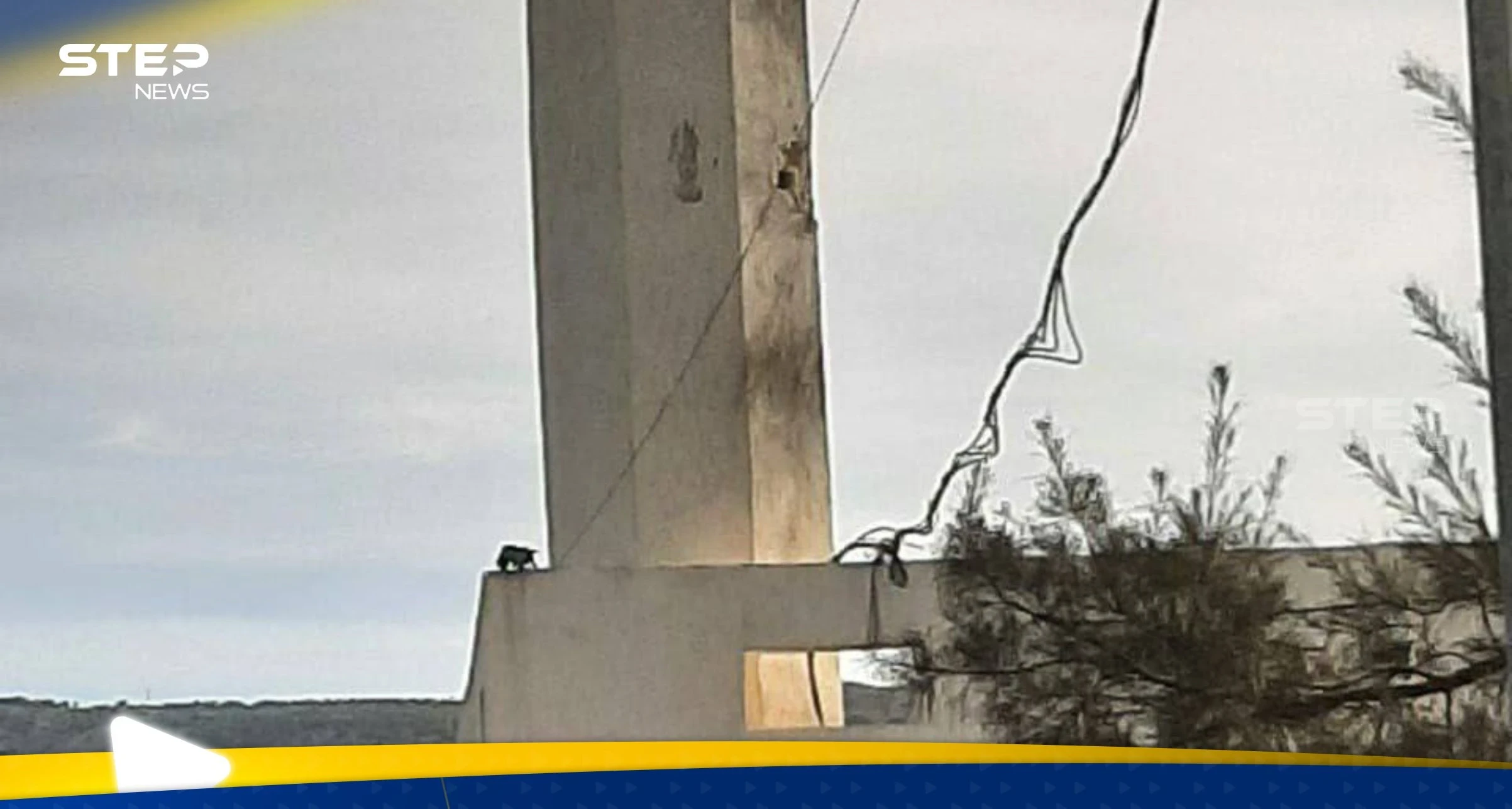 شاهد|| قصف إسرائيلي يستهدف مسجدا في بلدة العباسية جنوبي لبنان