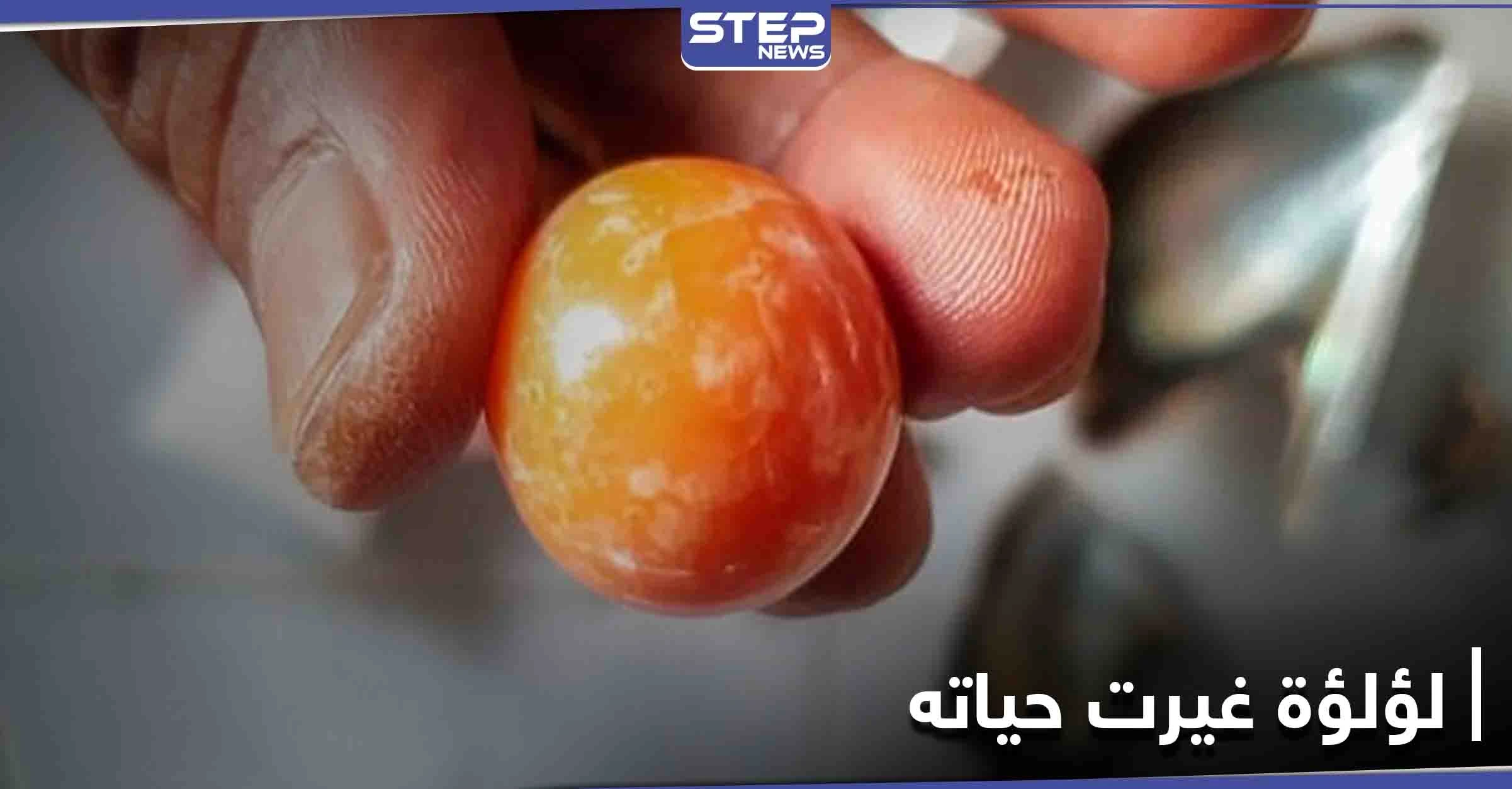 كما في الروايات... لؤلؤة نادرة تقلب حياة صياد رأساً على عقب (صور)