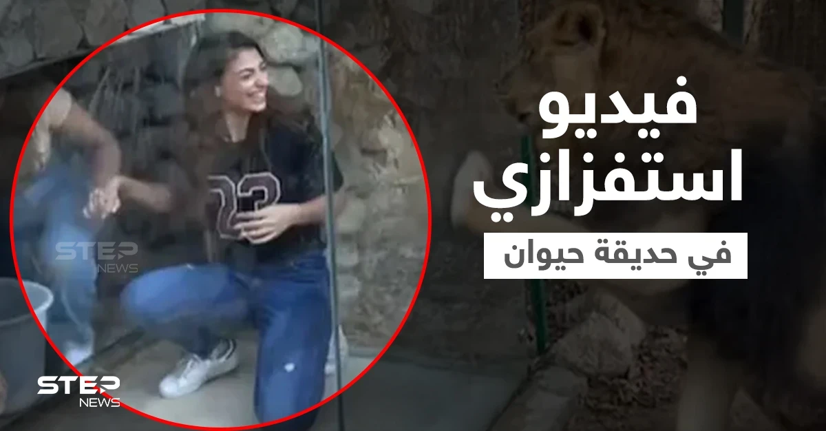 مشهد استفزازي لفتاتين مع أسد داخل حديقة حيوان في لبنان يثير جدلاً واسعاً (فيديو)