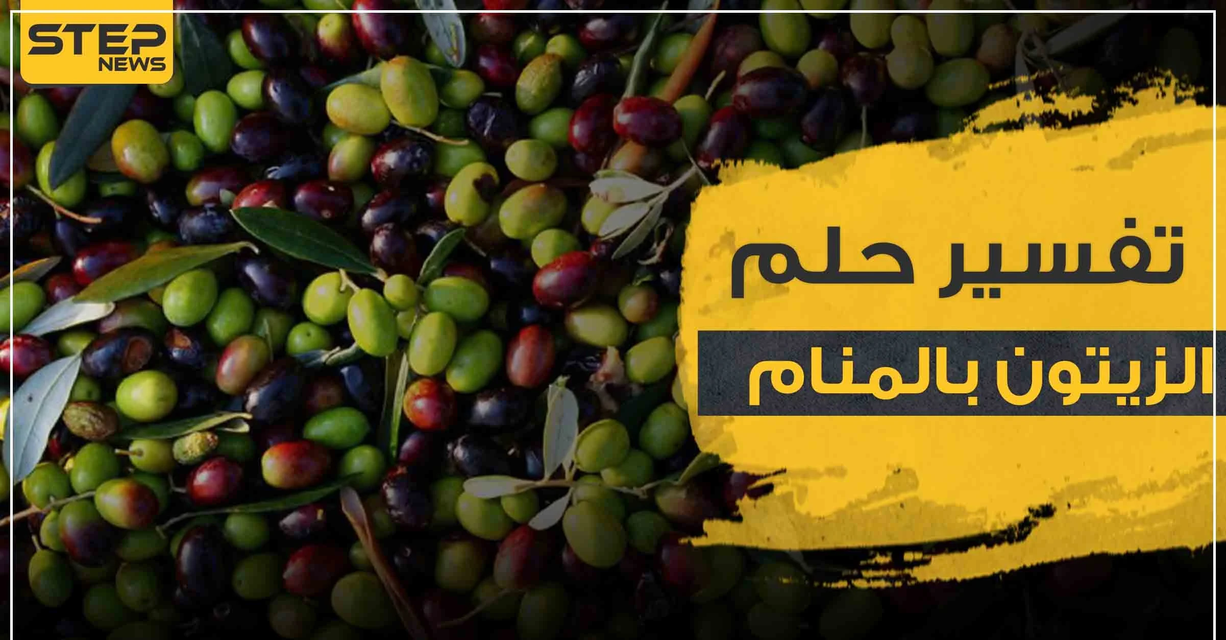 تفسير رؤية الزيتون في المنام بأنواعه وألوانه وبجميع الوضعيات
