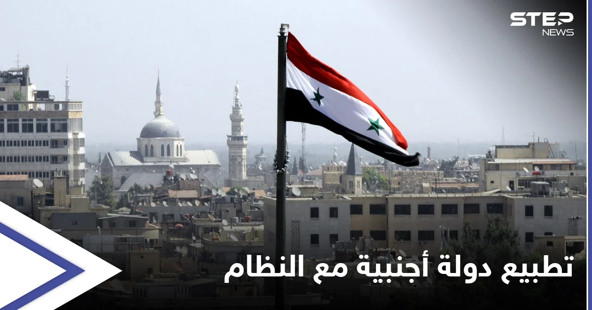 دولة أجنبية قد تطبع مع النظام السوري بعد الأردن وتوقعات متباينة حول اللجنة الدستورية