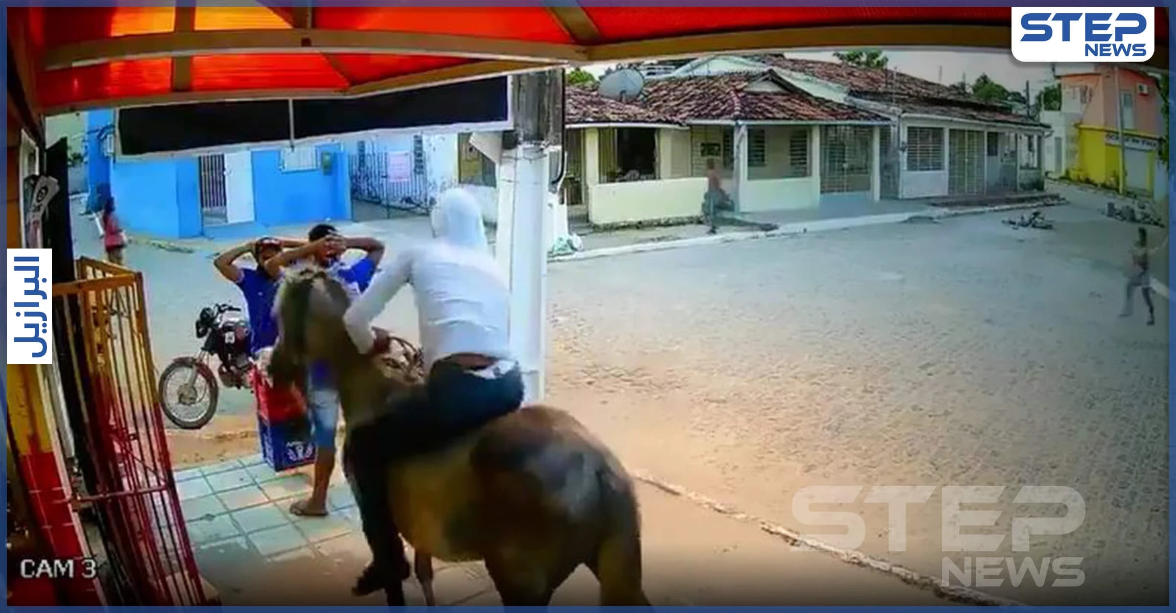 بالفيديو|| حصان يشارك بعملية سرقة "غريبة من نوعها" في البرازيل