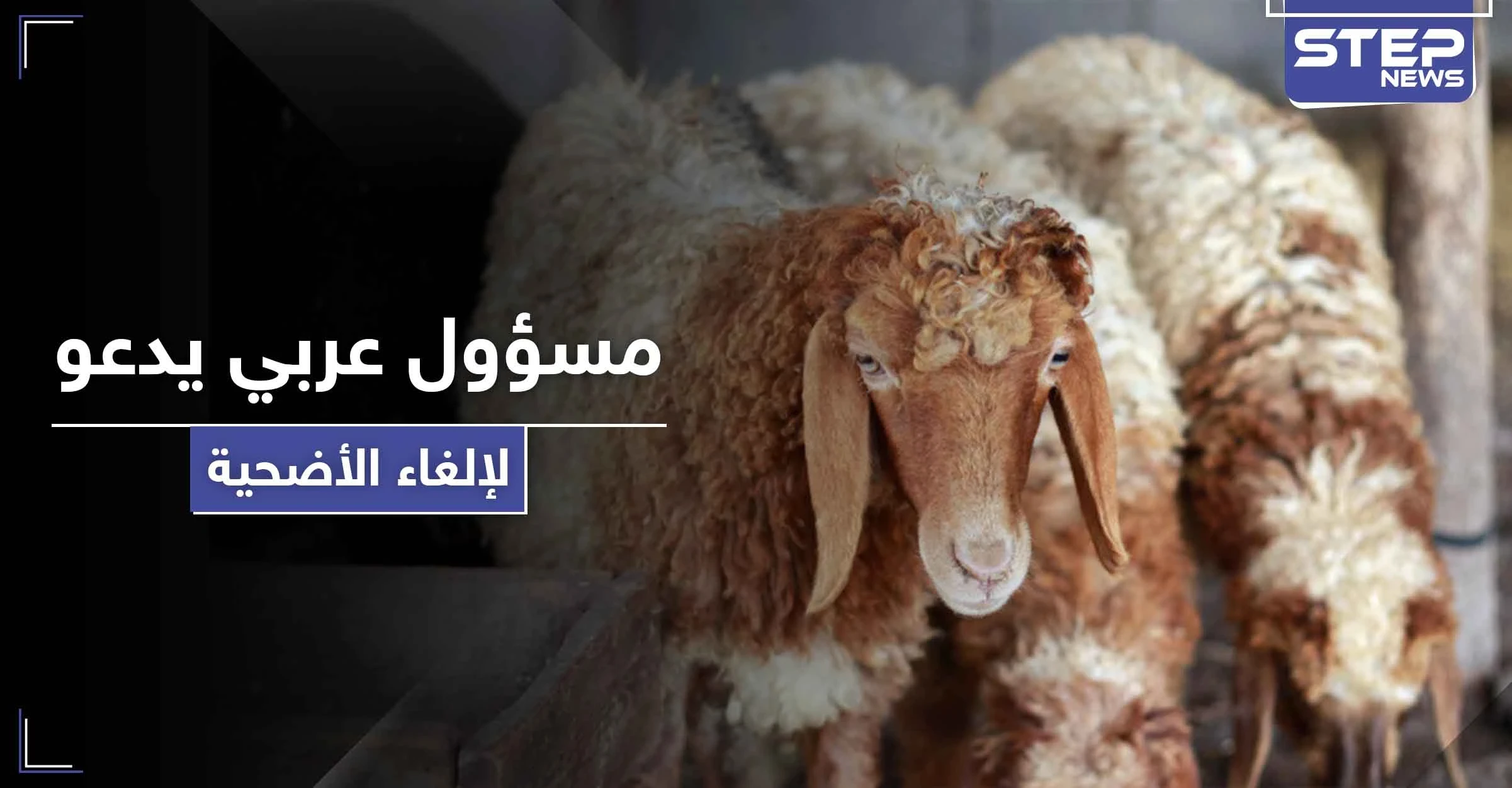 مسؤول عربي يطالب بإلغاء الأضحية هذا العام ويوضح الأسباب