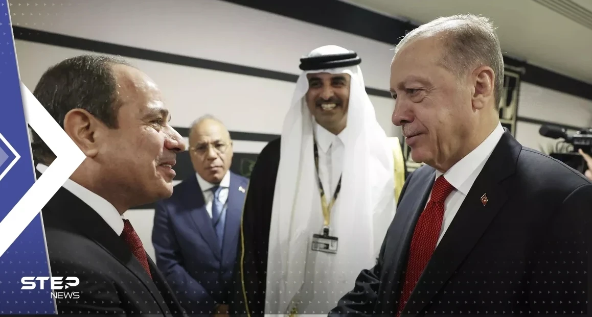 وزير الخارجية التركي يتحدث عن لقاء مرتقب بين أردوغان والسيسي