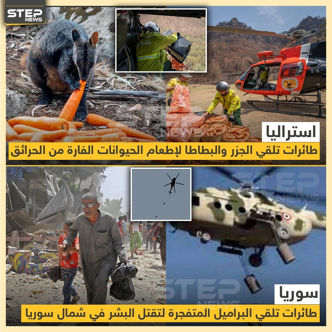 الفرق في استخدام الطيران بين سوريا و استراليا