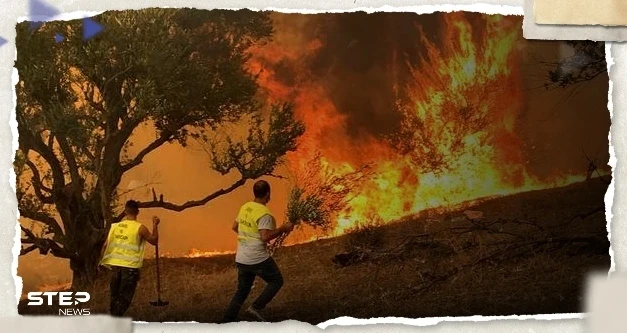الدرك الوطني الجزائري يعتقل المتسبب في حرائق عش الباز بولاية بجاية