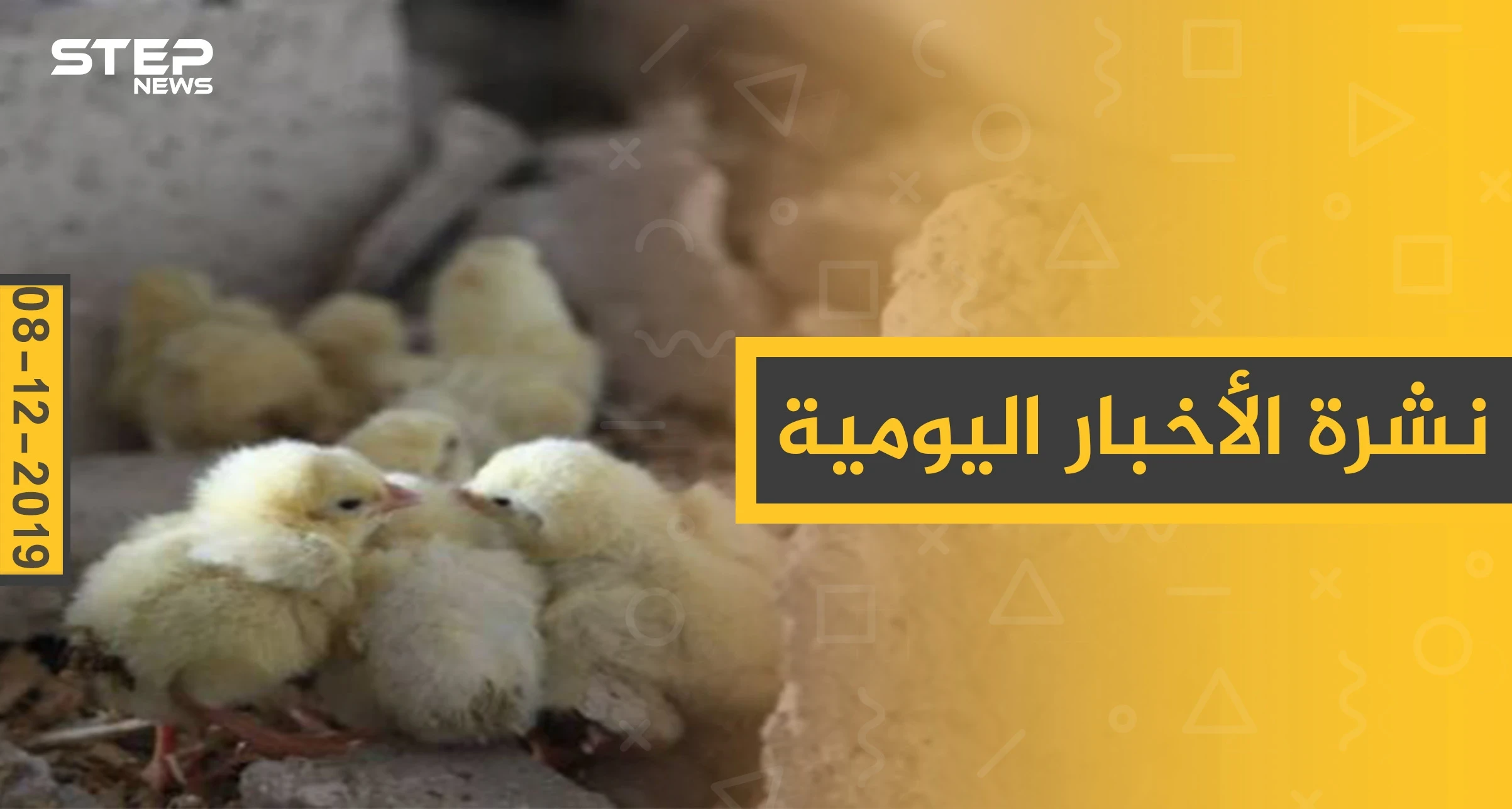 نشرة الأخبار اليومية  – الأحد 08 - 12 - 2019