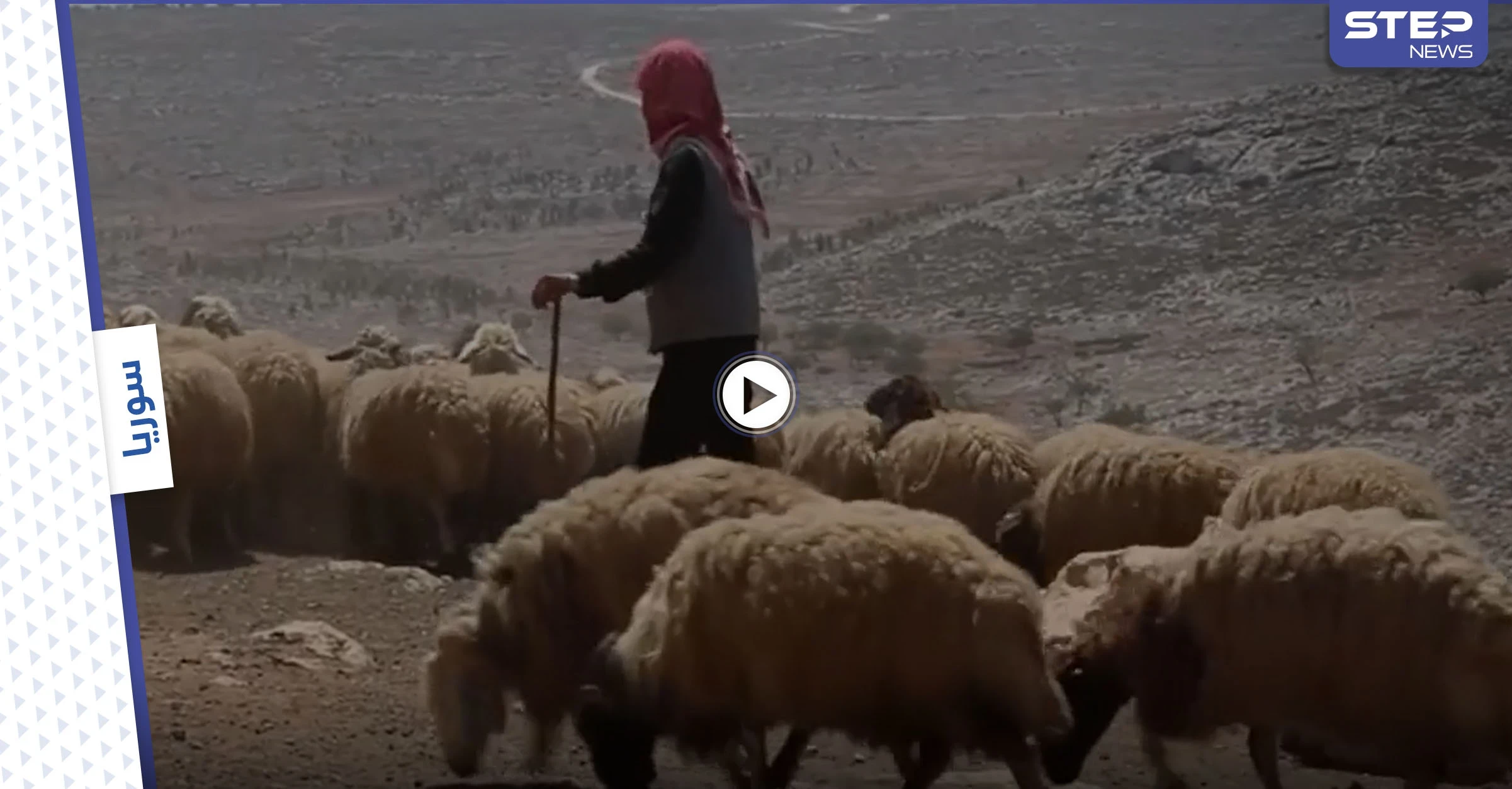 بالفيديو || بادية ريف حمص الشرقي مقصداً لمربي المواشي هرباً من تنظيم داعش