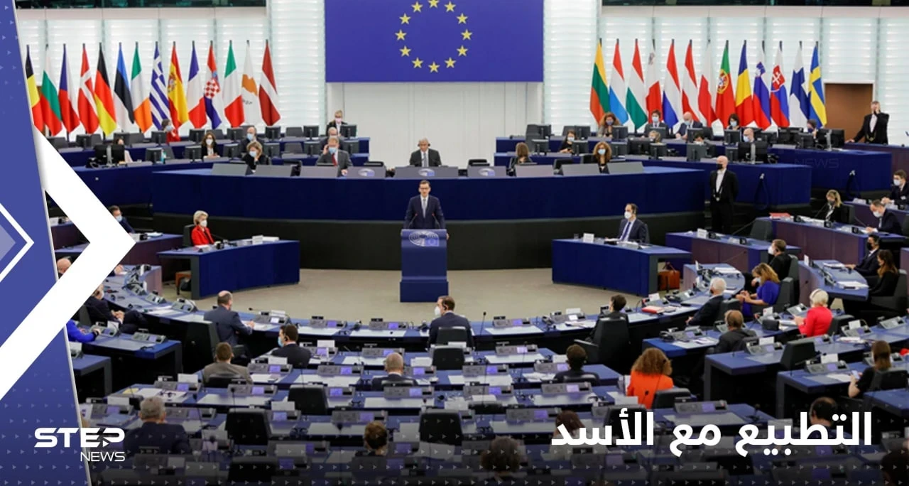 مندوبة بالبرلمان الأوروبي تعلق على تطبيع العلاقات مع الأسد وعودة اللاجئين السوريين إلى بلادهم