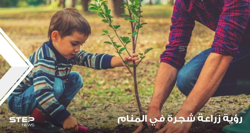رؤية شجرة في المنام وزراعتها والاعتناء بها ودلالته على الواقع