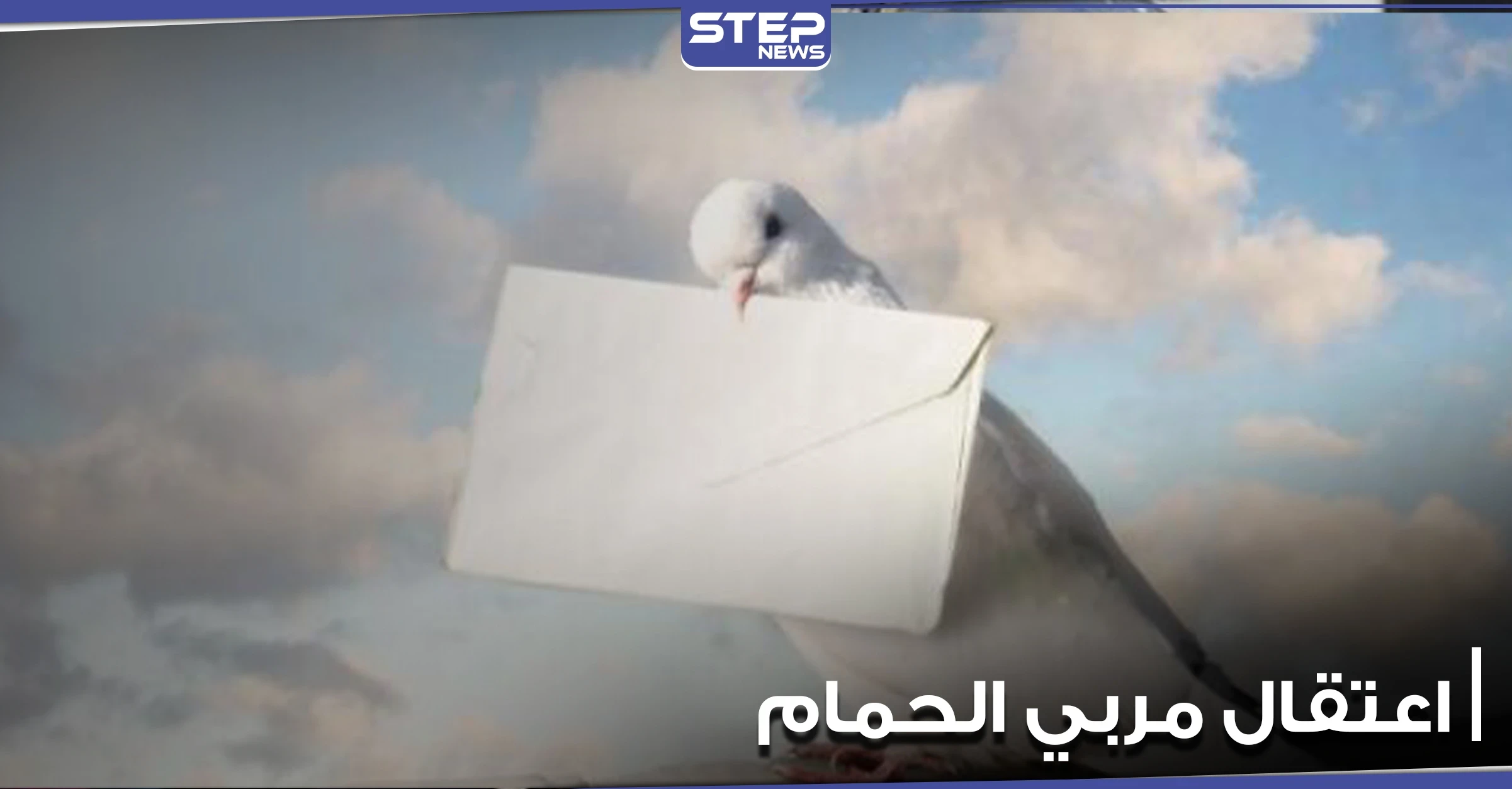 النظام السوري يعتقل عدداً من مربي الحمام بتدمر بتهمة خلق قنوات اتصال مع "داعش"