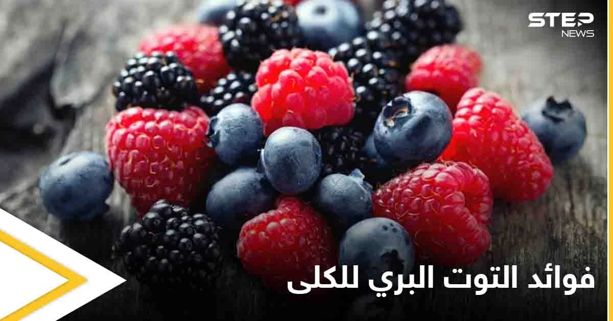 تعرف على فوائد التوت البري للجهاز البولي والكلى وطرق استخدامه لتحقيق أقصى فائدة ممكنة