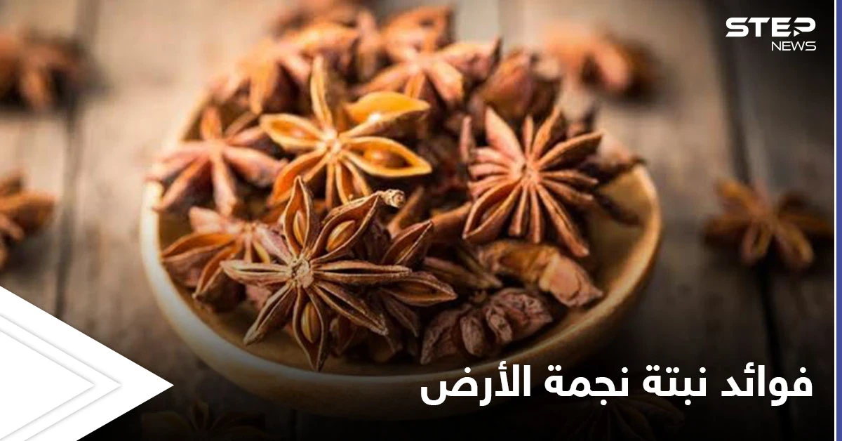 نجمة الأرض لعلاج الجهاز الهضمي وهشاشة العظام وفوائد أخرى تعرف عليها