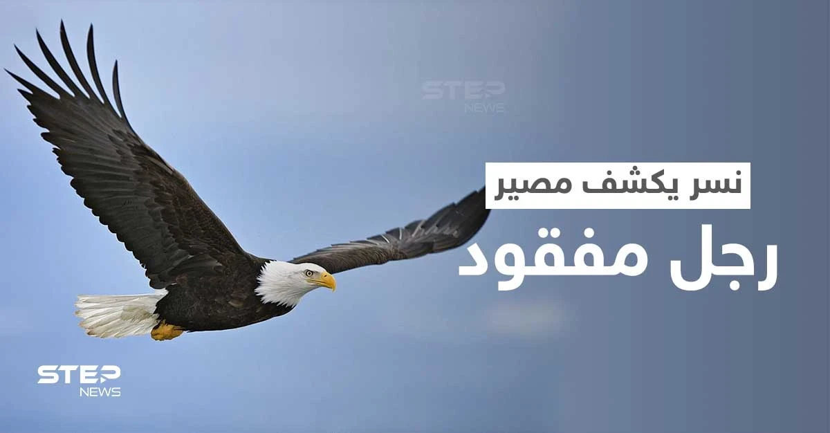 نسر يحلّق فوق منطقة مهجورة يحل لغز غامض ويكشف مصير رجل مفقود منذ أيام