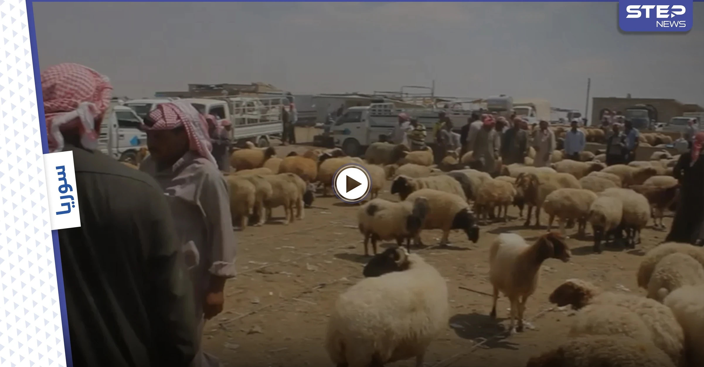 بالفيديو | انخفاض أسعار المواشي في البادية السورية مع انتعاش الأسواق قبل عيد الأضحى