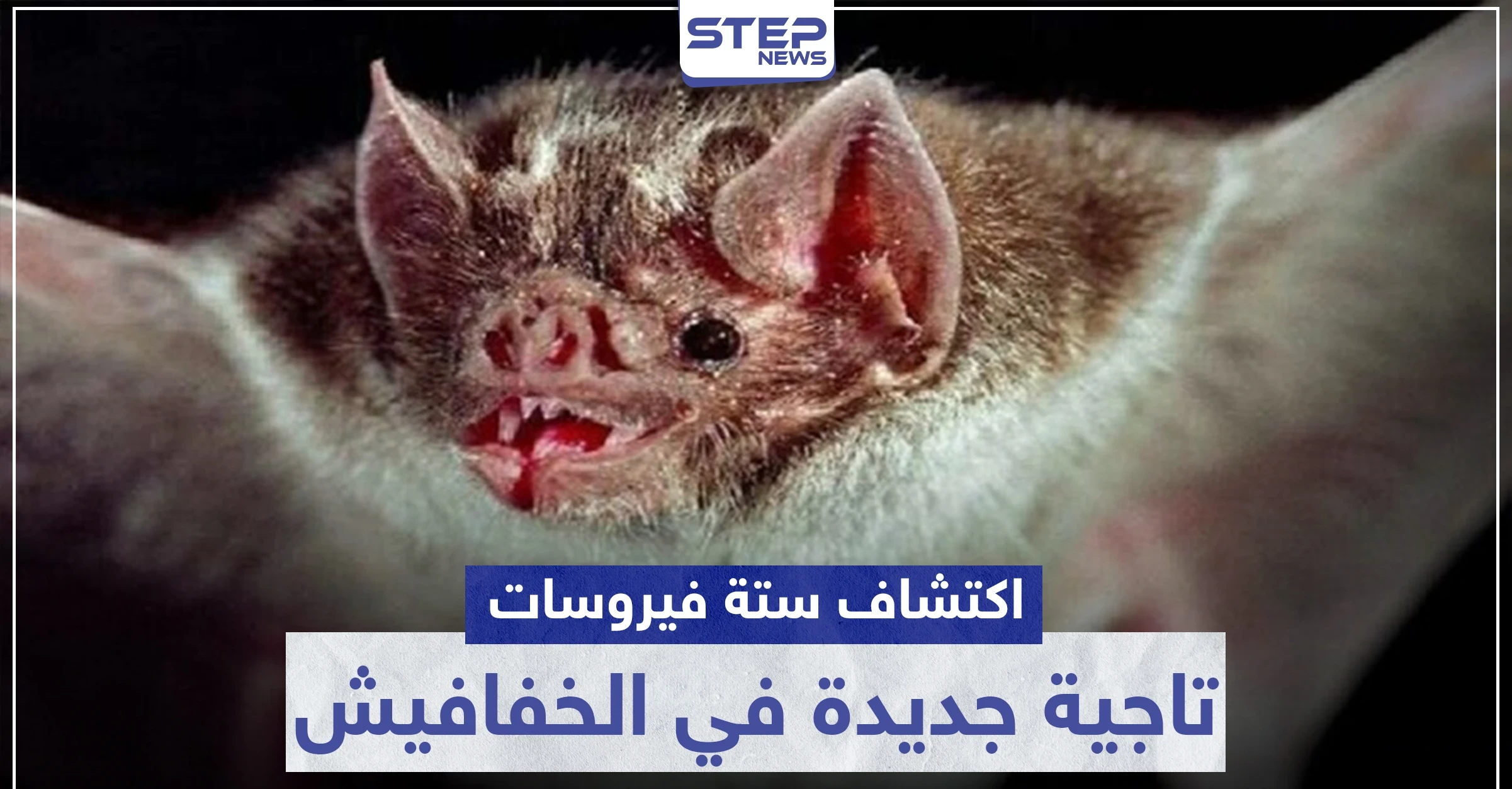 "غير كورونا" اكتشاف 6 فيروسات تاجية جديدة في الخفافيش.. تعرف عليها