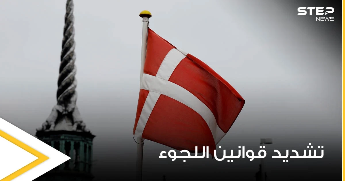 منها دولتين عربيتين.. الدنمارك تكشف عن الدول التي تتحاور معها لترحيل اللاجئين السوريين إليها