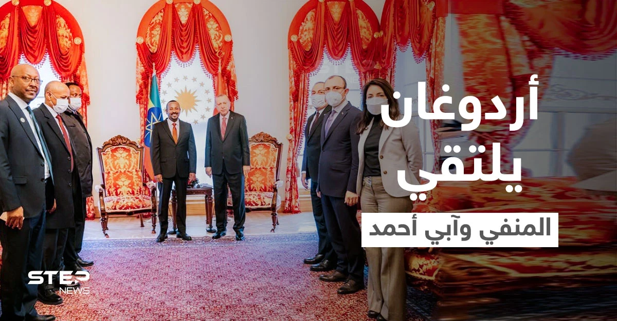 أبرز ما ناقشه أردوغان مع زعماء أفارقة في إسطنبول بينهم المنفي وآبي أحمد.. بما علّق الأخير؟ (صور)