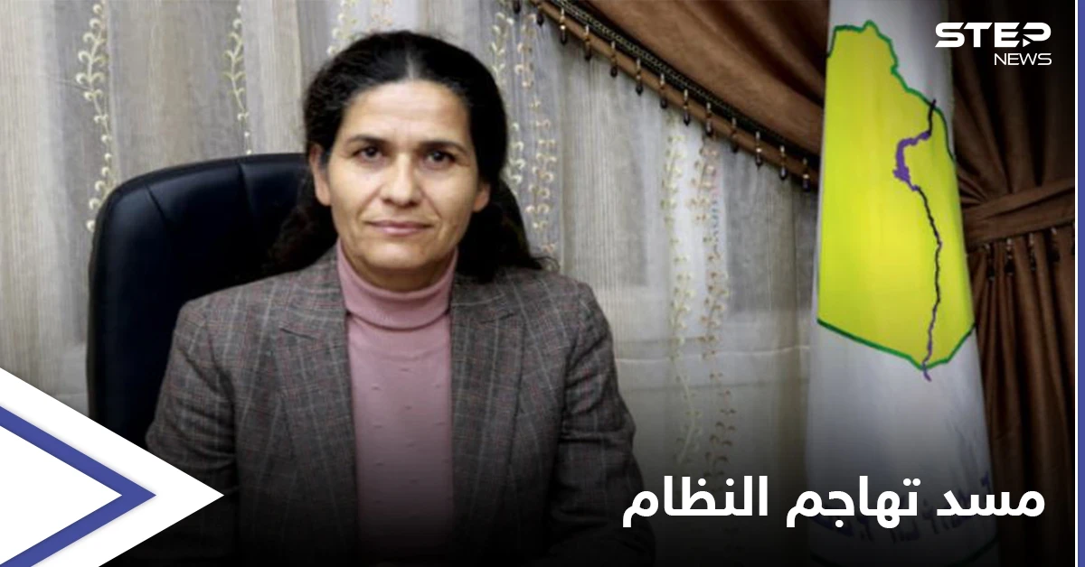 رئيسة "مسد" تفتح النار على النظام السوري: يرى في الحسم العسكري حلاً وحيداً للملف السوري