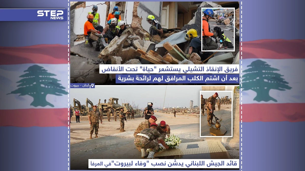 بينما يحاول فريق الانقاذ التشيلي البحث عن لبنانيين تحت الأنقاض، الجيش اللبناني يدشن نصب تذكاري