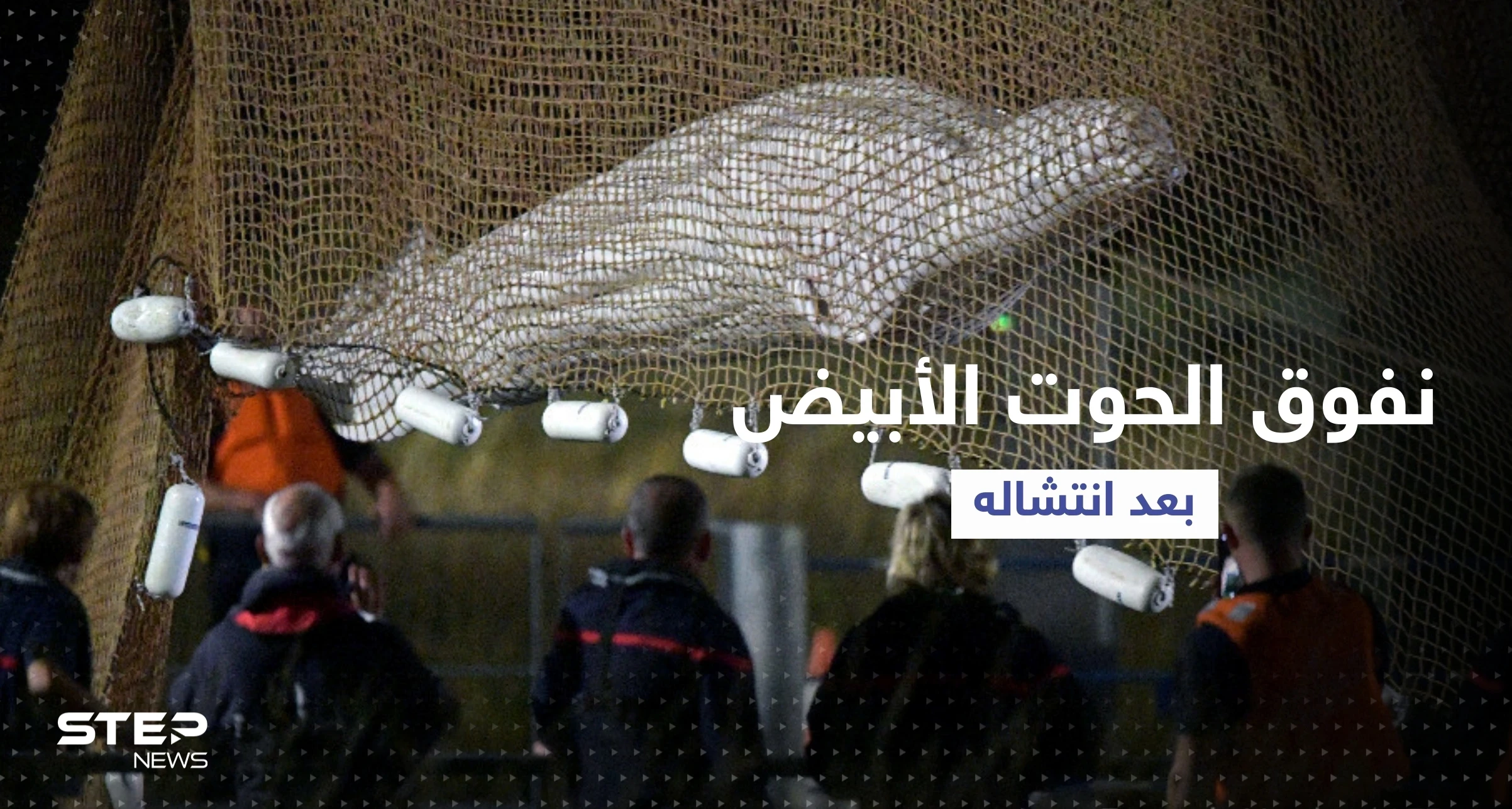 بالفيديو || نفوق الحوت الأبيض بعد انتشاله من نهر السين
