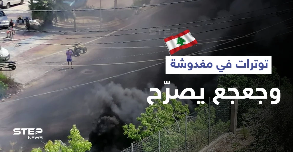 ضرب للأهالي وتكسير للمزارات والسيارات في بلدة مغدوشة اللبنانية والجيش يتدخل (فيديو وصور)