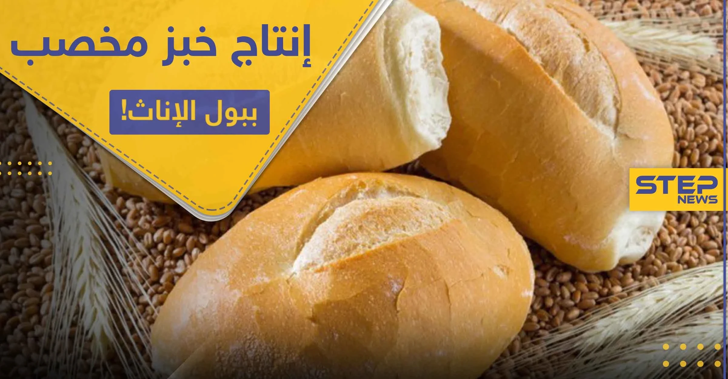فرنسا تبدأ بإنتاج خبز مخصب بـ بول الإناث.. والتفاصيل!