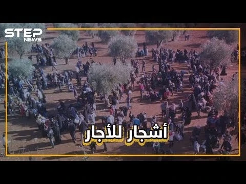 هل تصدق!! بعض أهالي شمال إدلب يؤجرون "ظلال الأشجار" للنازحين من القصف!!